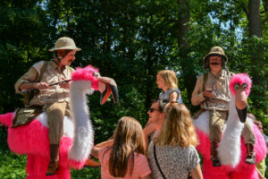 Spectacles "Flamingo Road" et "Les Cigognes"