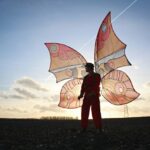 Papillons géants